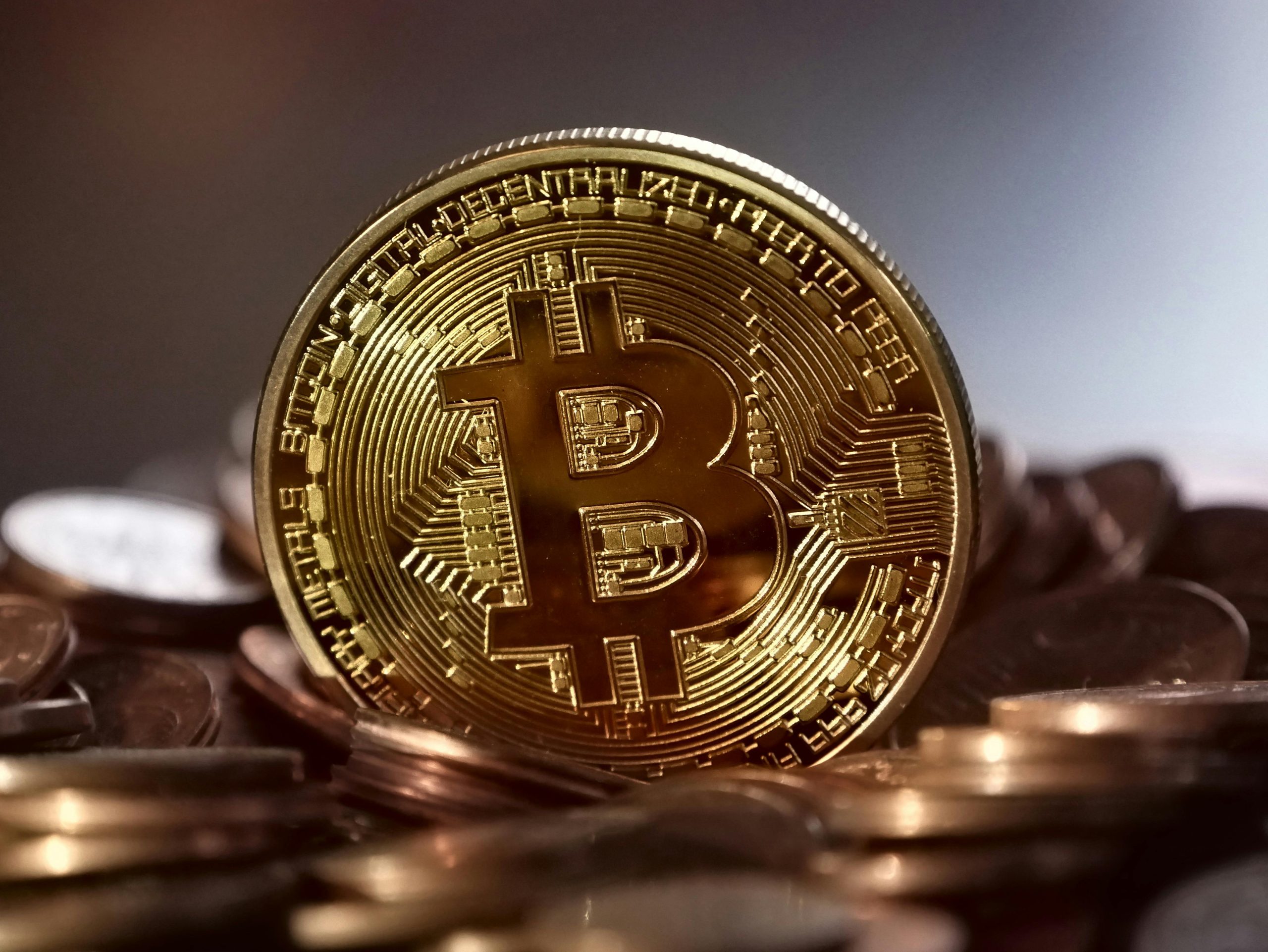 Is it Time to Consider Bitcoin as a Savings Option? - The Harlem Times