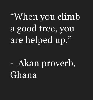 “When you climb a good tree, you are helped up.” — Akan proverb, Ghana